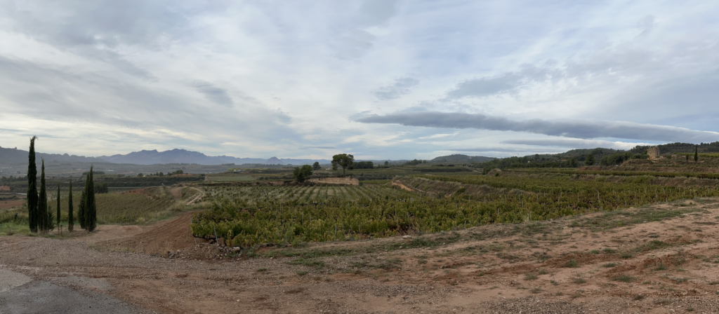 Weinreise Weinregion Terra Alta, Weinliebe auf Reisen, Blick in die Weinberge