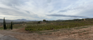 Weinreise Weinregion Terra Alta, Weinliebe auf Reisen, Blick in die Weinberge