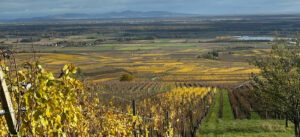 Wunderschöne Fernsicht im Elsass, Elsass im Januar, Spaziergang in den Weinbergen bei Eguisheim, die Sonne sucht sich ihren Weg durch die Wolken, Weinliebe auf Reisen, Weinreisen